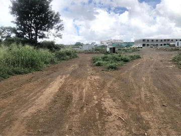 Land