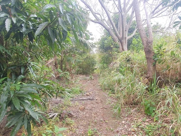 Agricultural Land
