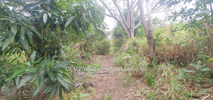 Hillside Agricultural Land for Sale – Shrimati Indira Gandhi Street, Crève Coeur