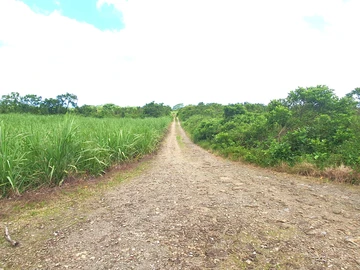 Agricultural Land