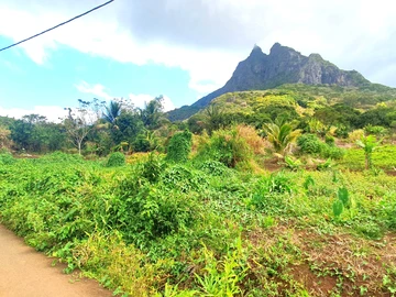 Agricultural Land