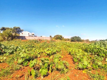 Residential Land