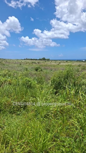 Large Residential Land for Sale – Albion 50 Arpents