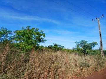 Agricultural Land
