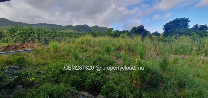 Fully Equipped Poultry Farm For Sale – La Martinière, Chamouny 