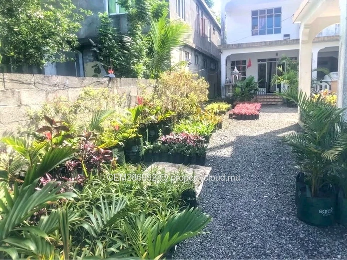Two houses + nursery business For Sale - Quatre Cocos