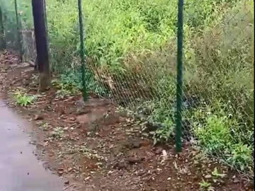 Residential Land