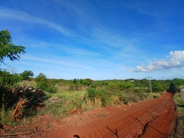 Agricultural Land
