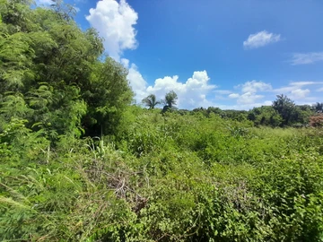 Residential Land