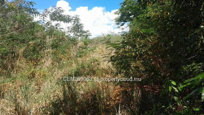 3.75 arpent beachfront land for sale in Panchavati - Île d’Ambre