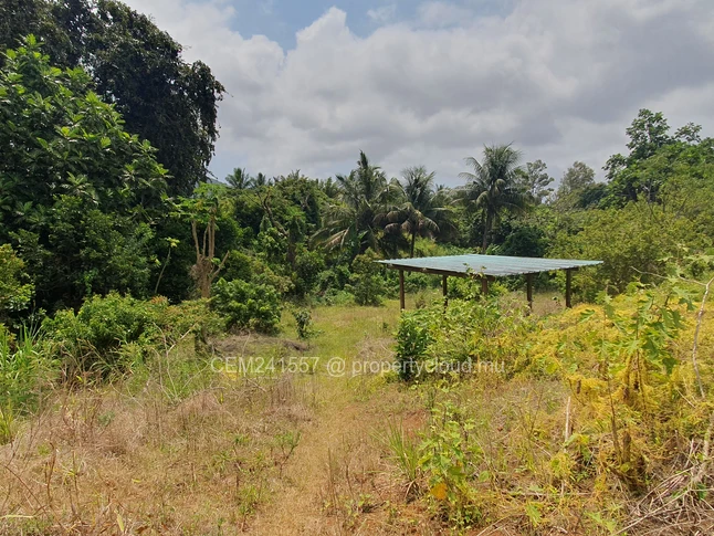 Commercial land - 130 perches for sale in Long Mountain