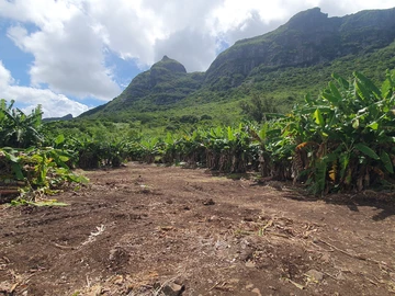 Residential Land