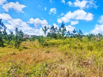 Residential Land