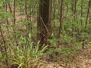Residential Land
