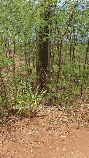 Large Residential Land for Sale – Albion 50 Arpents