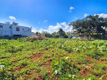 Residential Land
