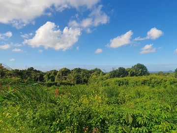 Residential Land