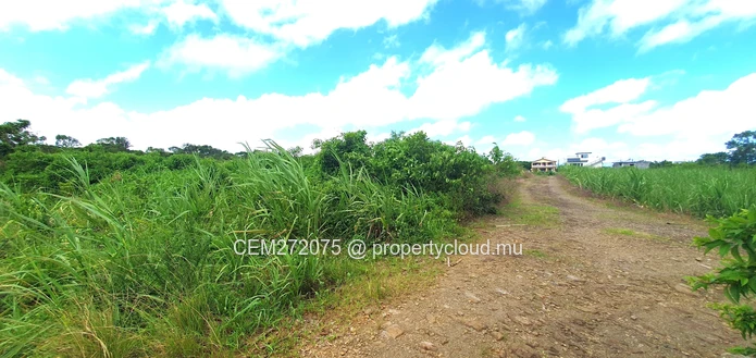 Agricultural Land for Sale in Beau Climat, South – Prime Plot for Cultivation!