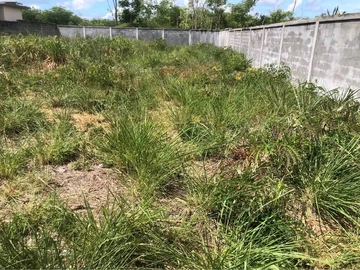 Residential Land