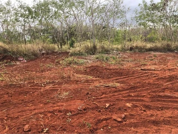Residential Land