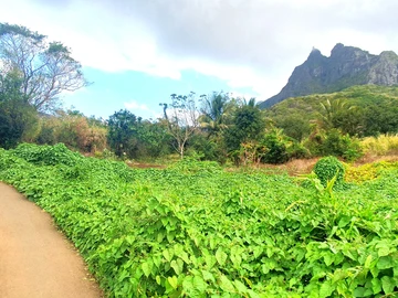 Agricultural Land