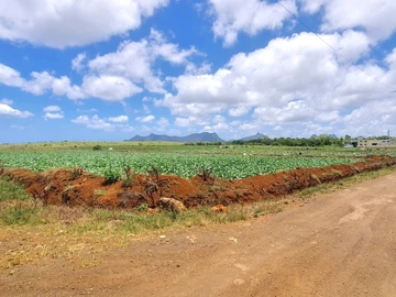 Commercial Land