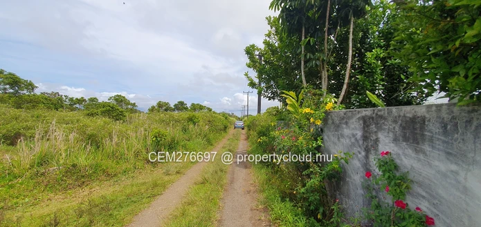 Prime Residential/Commercial Land for Sale – Camp Fouquereaux