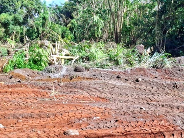 Residential Land
