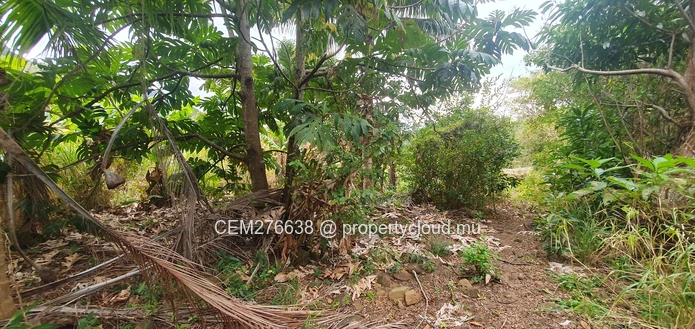 Hillside Agricultural Land for Sale – Shrimati Indira Gandhi Street, Crève Coeur