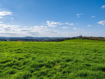 Commercial Land