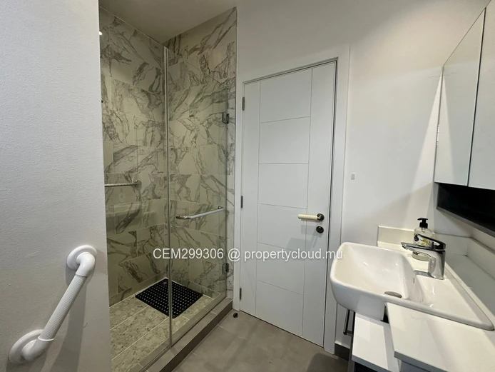 Furnished Skyline Penthouse for Rent , Rose-Hill