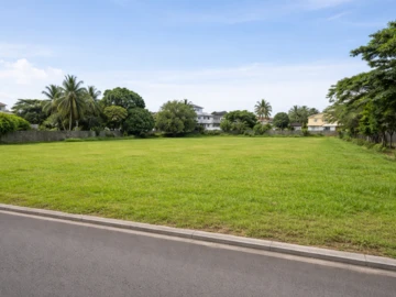 Commercial Land
