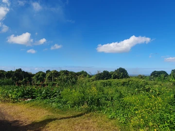 Residential Land