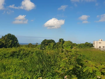 Residential Land