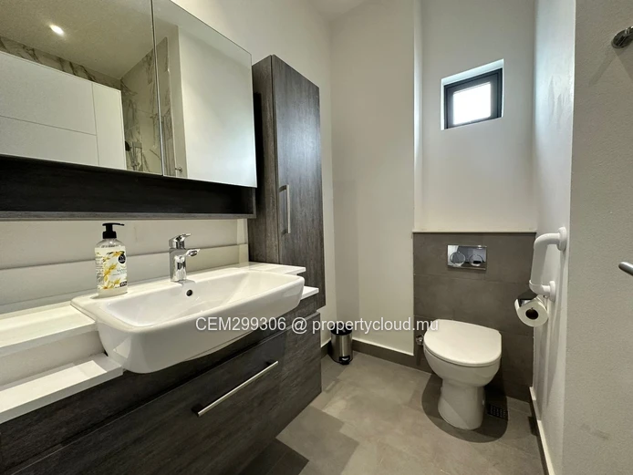 Furnished Skyline Penthouse for Rent , Rose-Hill