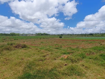 Commercial Land
