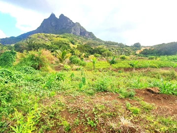 Agricultural Land
