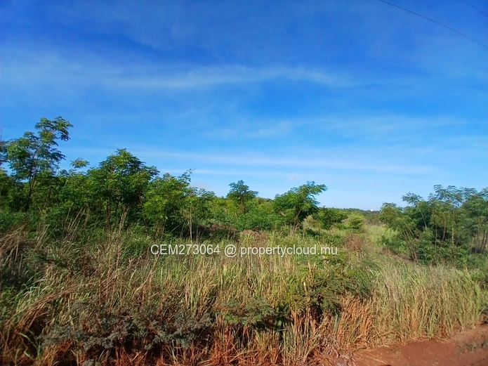 Agricultural Land for Sale – Large Plot in St Joseph, Arsenal, Terre Rouge