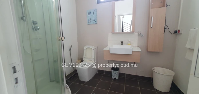 Furnished Villa with Private pool for Rent in Flic en Flac