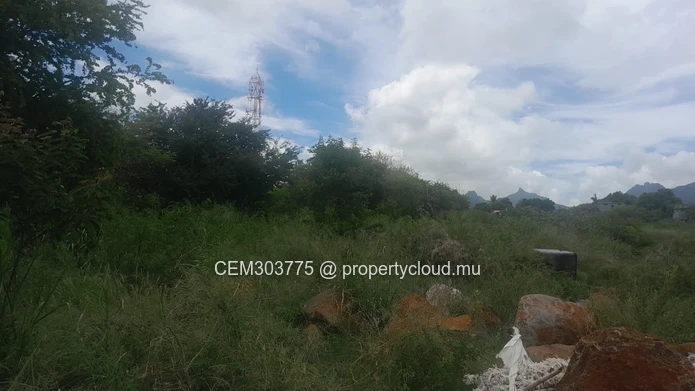 17-Arpent Agricultural Land for Sale – Petite Rivière | Directly on B31 Road 