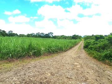 Agricultural Land
