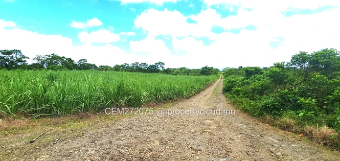 Agricultural Land for Sale in Beau Climat, South – Prime Plot for Cultivation!