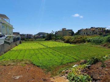 Residential Land