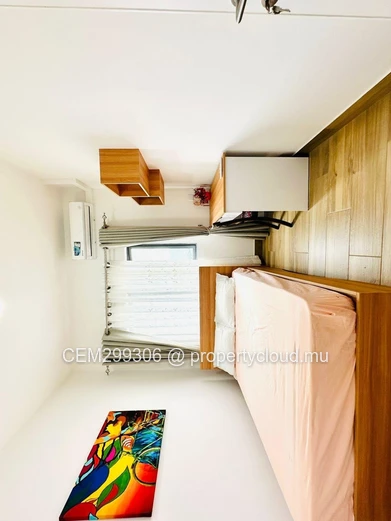 Furnished Skyline Penthouse for Rent , Rose-Hill