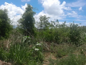 Residential Land