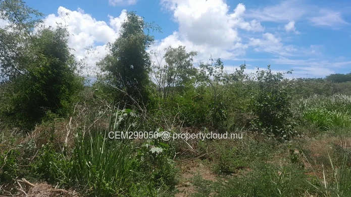 4 arpent Residential Land for Sale - Mont Mascal