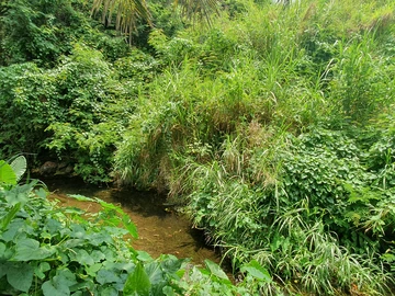 Commercial Land