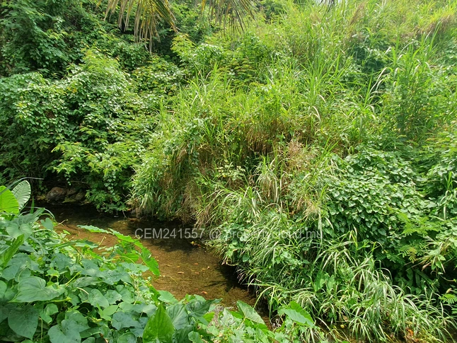 Commercial land - 130 perches for sale in Long Mountain