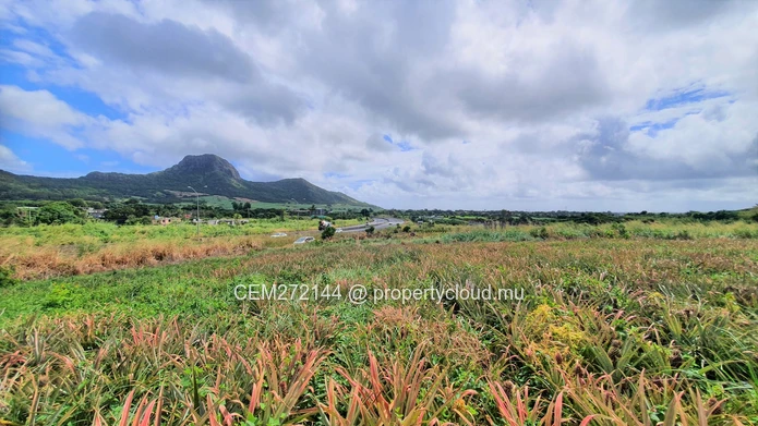 Agricultural Land for Sale – 233 Perche(s), Long Mountain, North