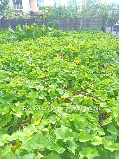 50 perches prime plot for sale in Quartier Militaire